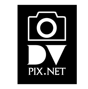 DVpix.NET camera logo